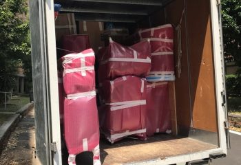 servizi traslochi nettuno